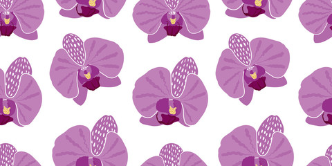 Vector seamless pattern of pink and purple color orchid flowers. Flowers of Phalaenopsis are isolated on white background. Good for cloth print, textile, fabric, wrapping paper, etc.