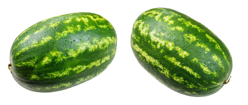Large watermelons on a white background. Isolated