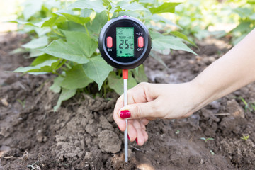Measuring temperature, moisture content of the soil, environmental humidity and illumination in a...