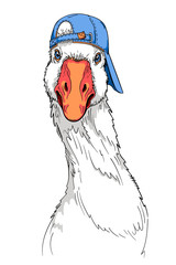  Cute cartoon goose wearing a cap. Fun image for printing on any surface © Вера Михеева