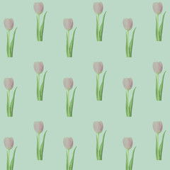 Wonderful pastel pink tulips on a pale green background.