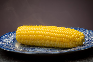 Corn on the cob, steaming after cooking in water, an American summer staple.