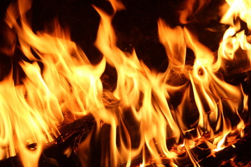 Flames of fire on a black background