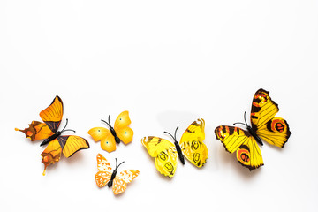 Żółte motyle na białym tle - obrazy, fototapety, plakaty