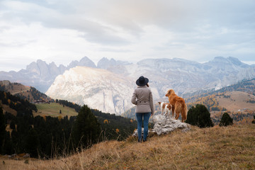 traveler with a two dogs in the autumn mountains. Nova Scotia Duck Tolling Retriever and Jack...
