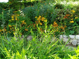 Panoramique de plantes fleuries et verts intenses