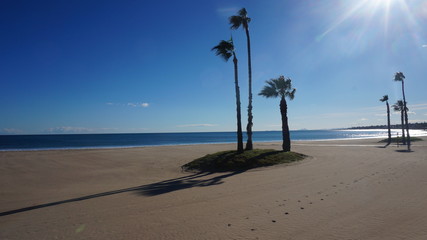 Beach Scene With Palm Trees