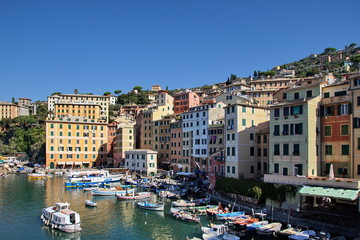 Fototapeta na wymiar The harbour in Camogli is thronged with tourist boats
