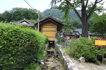 traditional japanese garden