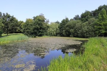 A small Dutch city park at the end of the summer.