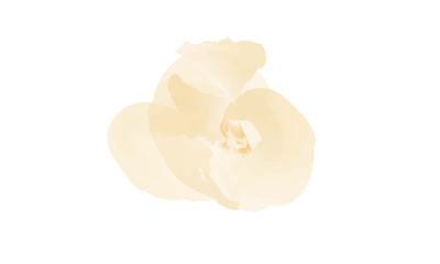 Watercolor background texture.
Watercolor background texture with splashing pastel color. 
Watercolor background can be used for wallpaper, sticker, greeting card etc.
