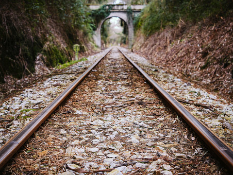 V&iacute;as de tren en la naturaleza