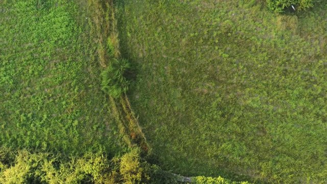 Horreo in Galicia. Old granary in rural village. Spain
