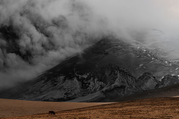 The Cotopaxi volcano, Ecuador, during the ash eruptions of 2015/2016