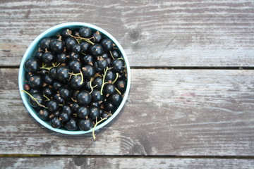 Blackcurrant in the little cup