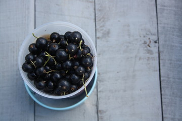 Blackcurrant in the little cup