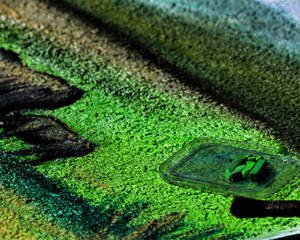 Green chalk on the sidewalk