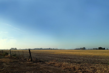 Obraz premium Campo y cielo