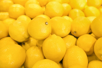 Ripe yellow lemons close-up background. Many yellow lemons, soft and selective focus.