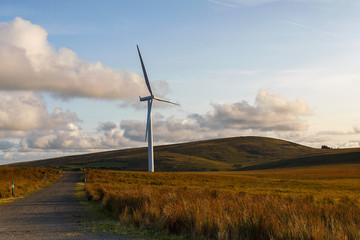 One wind turbine at dusk with an access road - sustainable energy concept.