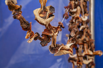 Fototapeta na wymiar Dried mushrooms on a rope hang at a rural fair