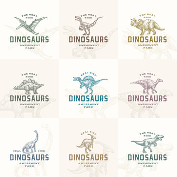 Amusement Park Prehistoric Dinosaurs Abstract Signs, Symbols Or Logo Templates Collection. Hand Drawn Ancient Reptiles With Retro Typography Labels Set. Vector Emblem Concepts Bundle.