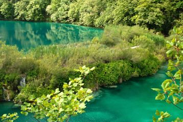 Fototapeta premium Blue Plitvice Lakes