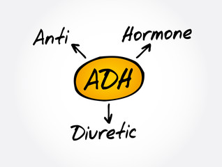 ADH - Antidiuretic Hormone acronym, concept background
