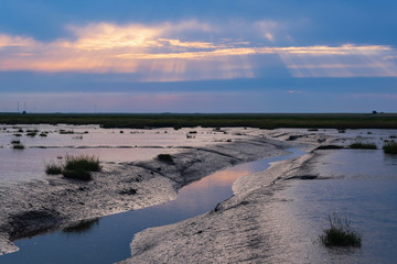 View of the Groden nature reserve from Langwarden / Germany at sunset