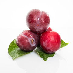 plums with plum leaves on a white background