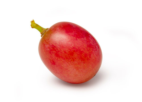 Closeup Isolated Single Red Grape On White Background With Clipping Path.