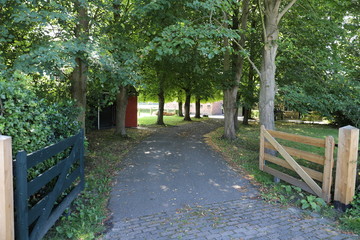 Looking down a beautiful farm entrance driveway lined by green trees. Wooden fence on both sides of road. Beautiful summer scenery. Nice day in the Netherlands.