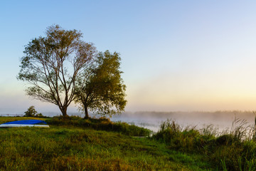 Fototapeta na wymiar Poranne mgły w Dolinie Narwi, Podlasie, Polska