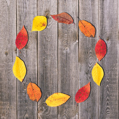 Circle of small autumn leaves on a wooden table. Autumn background with a copy of the space.