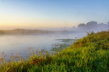 Poranne mgły w Dolinie Narwi, Podlasie, Polska © podlaski49