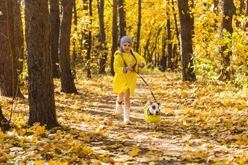 Child plays with Jack Russell Terrier in autumn forest. Autumn walk with a dog, children and pet concept.