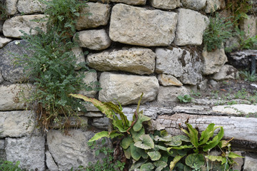 Mur de jardin en pierres sèches