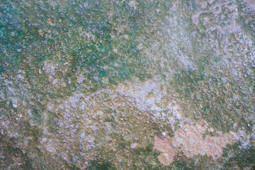 Dirty cement floor with moss and mold texture background.