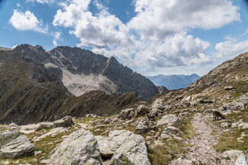 Fototapeta na wymiar Paysage des Alpes