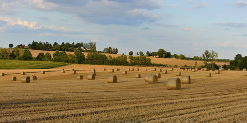 Strohballen auf dem Feld