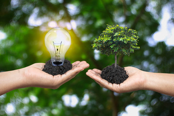 Light bulb is energy and creativity. Tree represents prosperity.