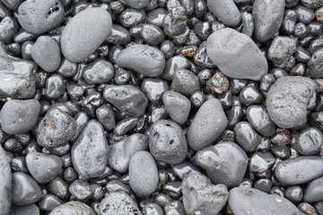 feuchte Steine am Ufer