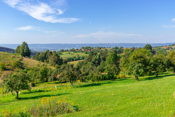 Fototapeta na wymiar panorama of the hills of transilvania