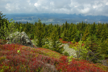 View from Wolfswarte (Bruchberg) at Harz Mountains National Park, Germany
