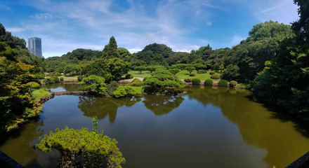 Fototapeta na wymiar lake surrounded by trees