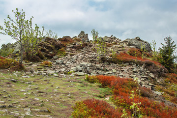 View from Wolfswarte (Bruchberg) at Harz Mountains National Park, Germany