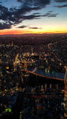 tokyo from the top
