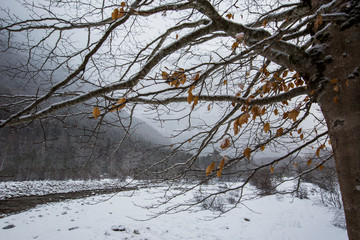 Winter in Ordesa and Monte Perdido National Park, Pyrenees, Spain