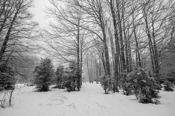 Winter in Ordesa and Monte Perdido National Park, Pyrenees, Spain