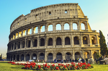 Fototapeta na wymiar Beautifull red flowers and green grass in roman Coliseum